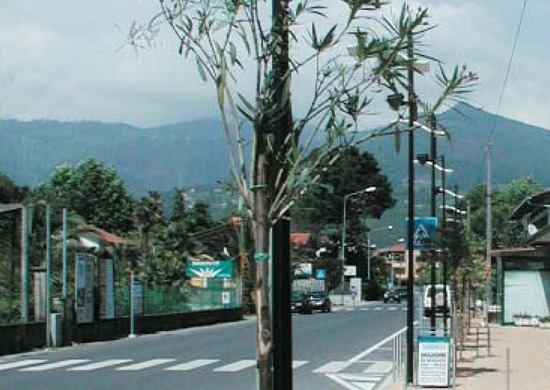 viale marina al cinquale, restyling, montignoso
