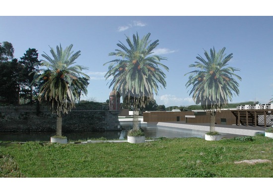 ex seaplane base, regeneration project, feasibility study, orbetello